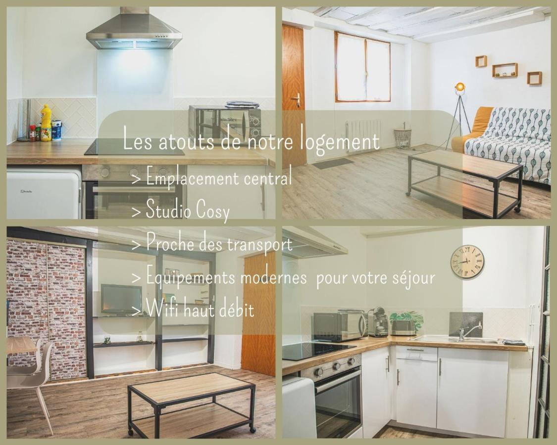 Joli Studio Plein Centre Шатору Экстерьер фото